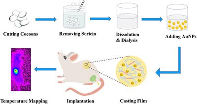 Renal Clearable Gold Nanoparticle-Functionalized Silk Film for in vivo Fluorescent Temperature Mapping